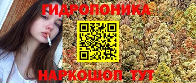 стафф Жуковский