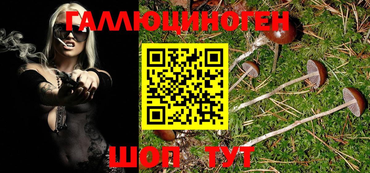 Коряжма  Псилоцибиновые грибы Magic Shrooms  Вход с VPN 