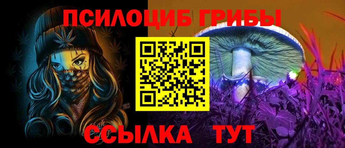 Псилоцибиновые грибы мухоморы Коряжма